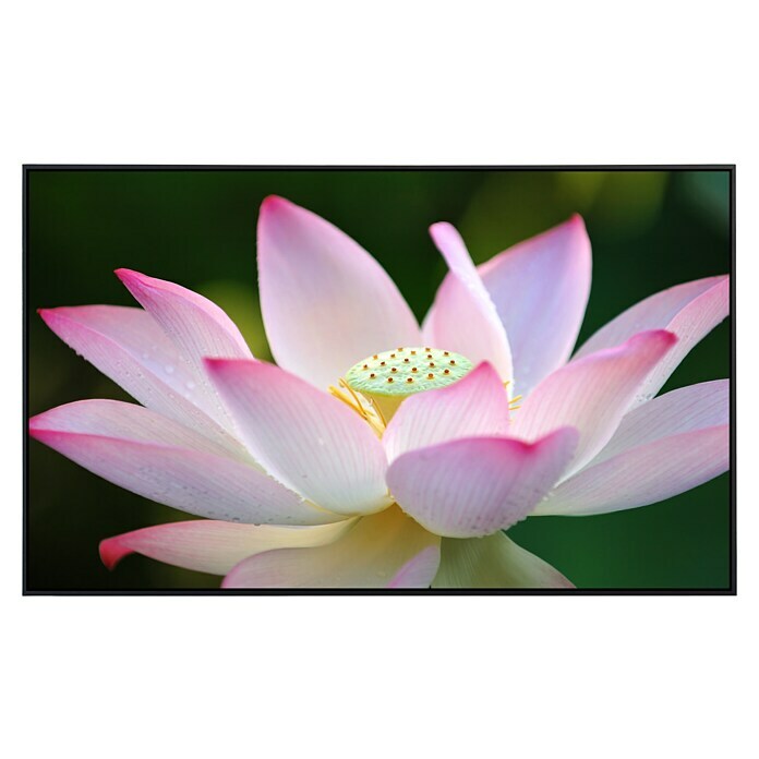 Papermoon Infrarot-Bildheizkörper Lotus Blume 1 