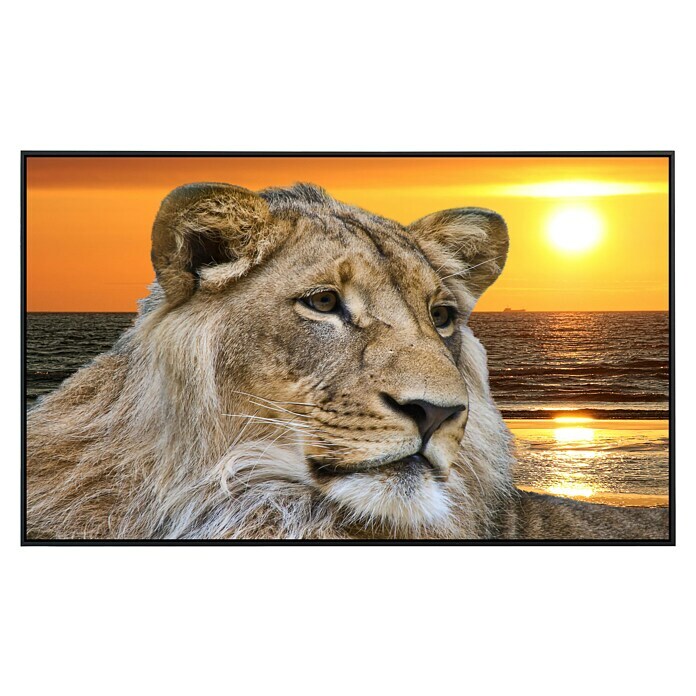Papermoon Infrarot-Bildheizkörper Löwe im Sonnenuntergang 