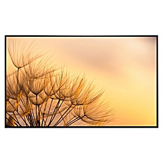 Papermoon Infrarot-Bildheizkörper Löwenzahn Sonnenuntergang (100 x 60 cm, 600 W)