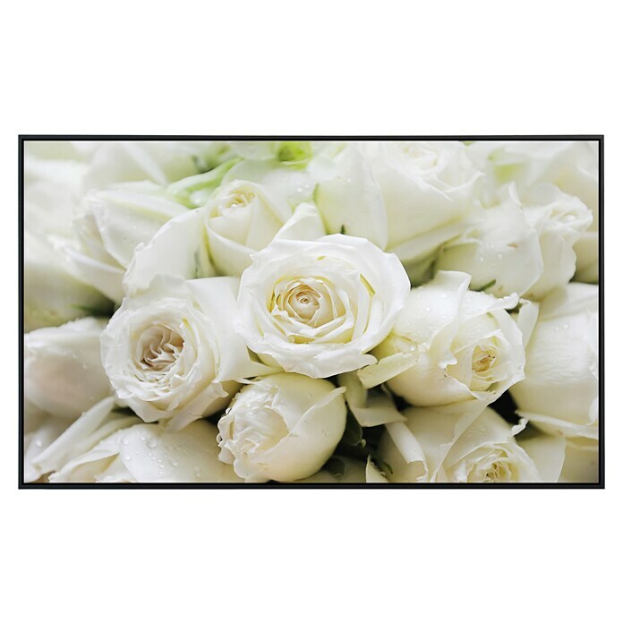 Papermoon Infrarot-Bildheizkörper Weiße Rosen 2 