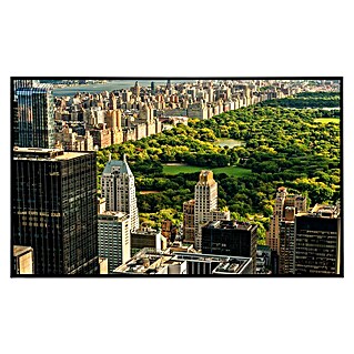 Papermoon Infrarot-Bildheizkörper Central Park Manhattan (120 x 60 cm, 900 W)