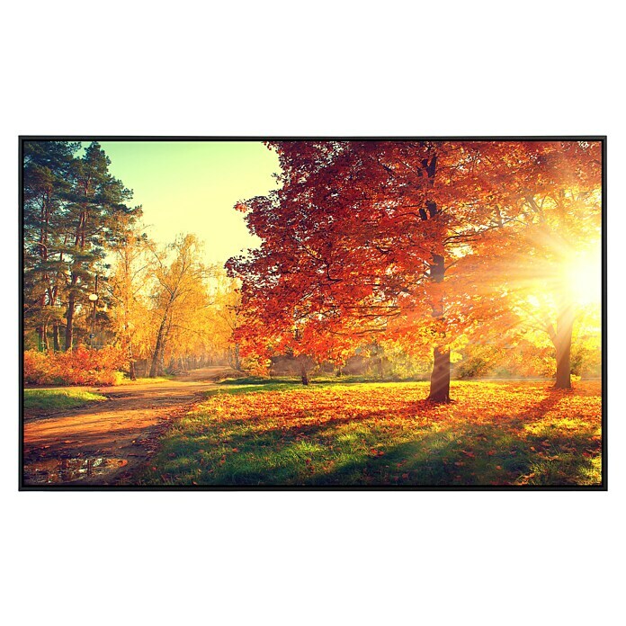 Papermoon Infrarot-Bildheizkörper Herbstbäume 2 