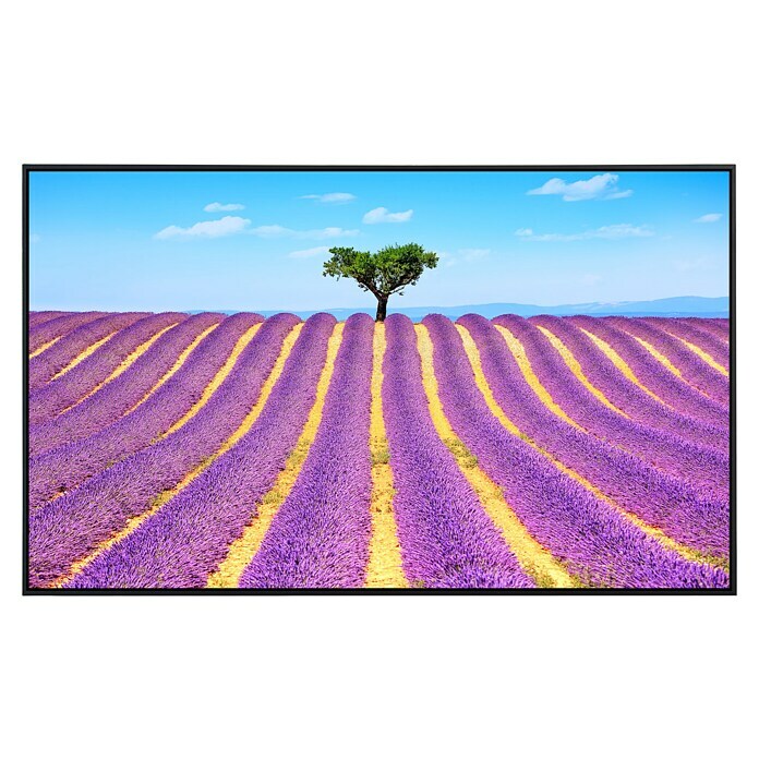 Papermoon Infrarot-Bildheizkörper Lavendel in der Provence 