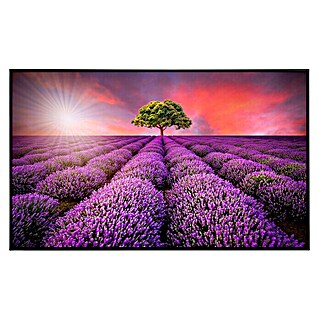 Papermoon Infrarot-Bildheizkörper Lavendelfeld in Sunburst (60 x 60 cm, 350 W)