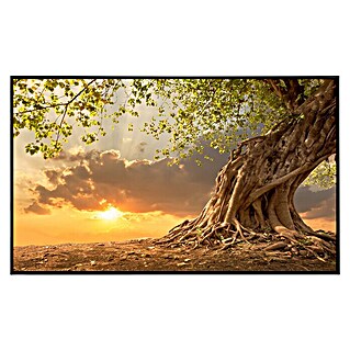 Papermoon Infrarot-Bildheizkörper Alter Baum im Sonnenuntergang (60 x 60 cm, 350 W)