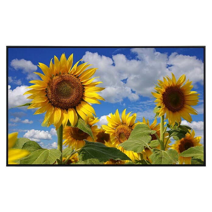 Papermoon Infrarot-Bildheizkörper Sonnenblumen 2 