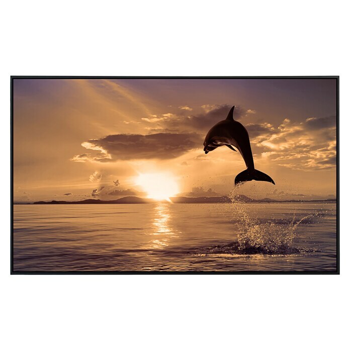 Papermoon Infrarot-Bildheizkörper Springender Delfin 