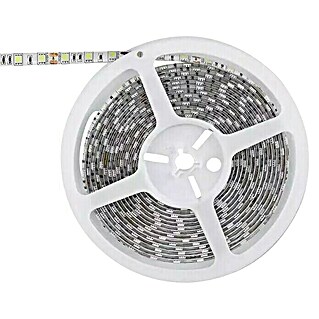 LED traka (Duljina: 5 mm, Hladna bijela, 48 W)