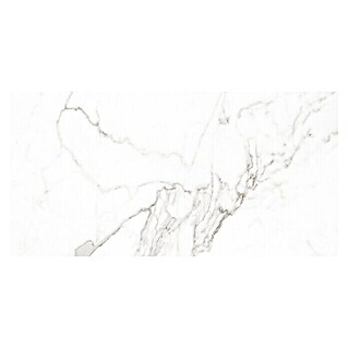 Pavimento porcelánico Palatina Pulido (60 x 120 cm, Blanco Carrara, Rectificado, Pulido)