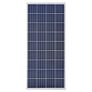 Panel solar A-160P GS  (160 W, Número de células solares: 36, L x An x Al: 3,5 x 67 x 148 cm)