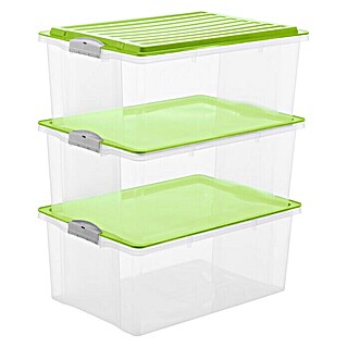 Rotho Stapelbox Set Compact (L x B x H: 58,8 x 40,8 x 34,1 cm, 3 Stk., Deckelfarbe: Grün, Kunststoff)