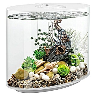 biOrb Aquarium Loop (510 x 310 x 530 mm, 30 l, LED)