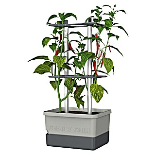 Gusta Garden Pflanztopf Charly Chili (28 x 35 x 69 cm, Ausstattung: Bewässerungssystem)