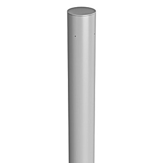 Biohort Zaunpfosten (Höhe: 90 cm, Silber Metallic)