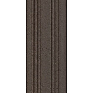 WPC-Terrassendiele Terra (315 x 12,75 x 2,8 cm, Braun)