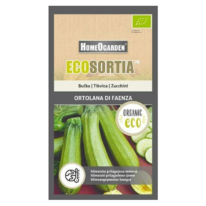 HomeOgarden Sjeme povrća Ecosortia tikvica 