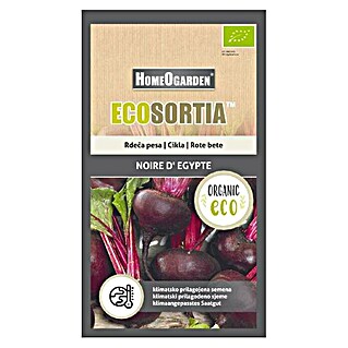 HomeOgarden Sjeme povrća Ecosortia cikla  (Botanički opis: Beta vulgaris L.)
