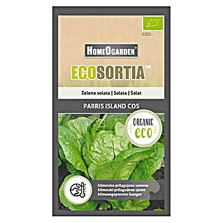 HomeOgarden Sjeme povrća Ecosortia salata