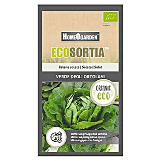 HomeOgarden Sjeme povrća Ecosortia zelena salata (Botanički opis: Lactuca sativa L.)