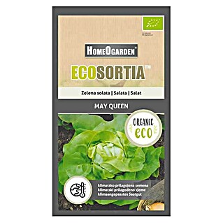 HomeOgarden Sjeme povrća Ecosortia salata (Botanički opis: Lactuca sativa L.)