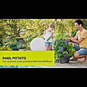 Gusta Garden Pflanzturm Paul Potato x | Anthrazit) BAUHAUS (44 44 x cm, 65