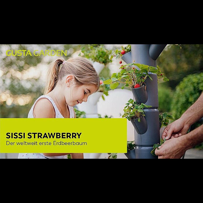 Gusta Strawberry Starter x Pflanzturm Sissi mm, 270 Weiß) (270 Garden 770 BAUHAUS x |