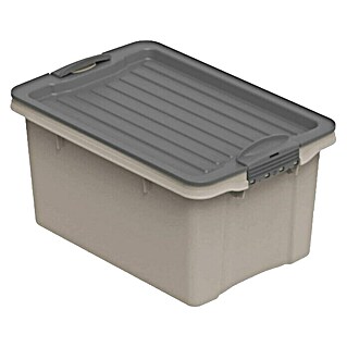 Rotho Stapelbox Compact (L x B x H: 27 x 18,5 x 15 cm, Kunststoff, Cappuccino)