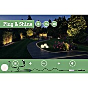 Paulmann Plug & Shine LED-Außenleuchte (Durchmesser: 40 cm, 1-fach, Warmweiß, IP67)