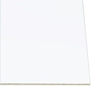 Panel trasero (Blanco mate, 244 cm x 122 cm x 3 mm)