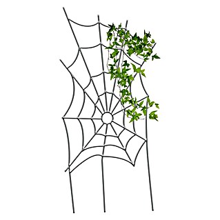 Rankgitter Spinnennetz (75 x 150 cm, Silber)
