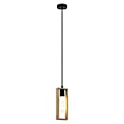 Eglo Viseća svjetiljka (60 W, Crna, D x Š x V: 11 x 10 x 110 cm)