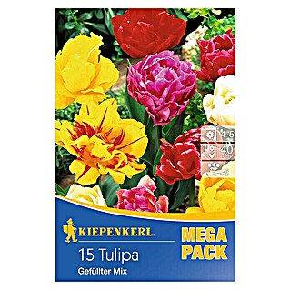 Kiepenkerl Frühlingsblumenzwiebeln Tulpe 'Gefüllter Mix' (Tulipa x hybride)