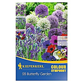 Kiepenkerl Sommerblumenzwiebel-Mix Butterfly Garden (28 Stk.)
