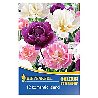 Kiepenkerl Frühlingsblumenzwiebeln Romantic Island Mix (Tulipa, 12 Stk.)
