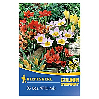 Kiepenkerl Frühlingsblumenzwiebeln Bee Wild Mix (Tulipa in Arten, 35 Stk.)
