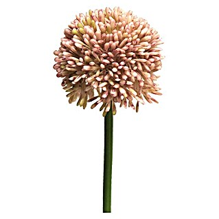 Kunstbloem Allium Globemaster (Hoogte: 44 cm, Polyester)