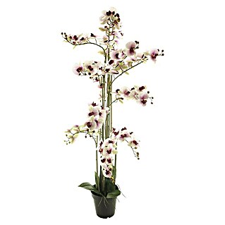 Kunstbloem Phalaenopsis Bora (Hoogte: 140 cm, Polyester)