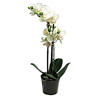 Kunstbloem Phalaenopsis Bora (Hoogte: 50 cm, Polyester)