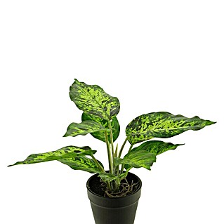 Kunstplant Dieffenbachia Tropicin (Hoogte: 25 cm, Polyester)