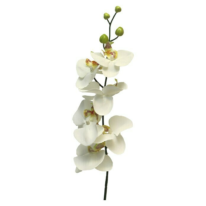 Kunstbloem Phalaenopsis 