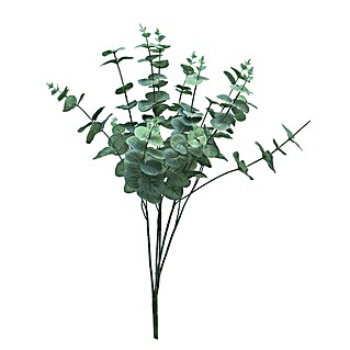 Kunstplant Eucalyptus Cinera (Hoogte: 60 cm, Polyester)