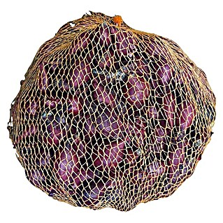 Lučice luka Red Baron (Botanički opis: Allium cepa, Berba: Kolovoz - Rujan, 1 kg)
