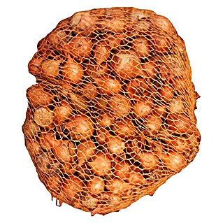 Lučice luka Stuttgarter (Botanički opis: Allium cepa, Berba: Lipanj - Kolovoz, 1 kg)