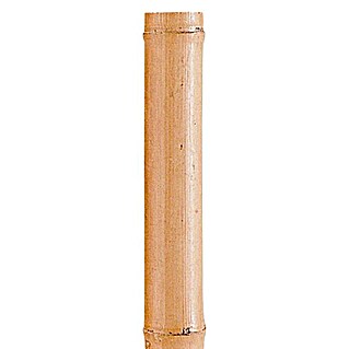 Nortene Tubo de bambú Deco (Largo: 295 cm, Diámetro: 80 mm - 90 mm)