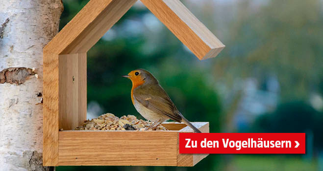 Vogelhaus mit Vogel