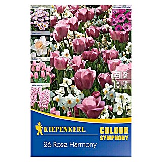 Kiepenkerl Frühlingsblumenzwiebeln Rose Harmony (26 Stk., Roseharmony)