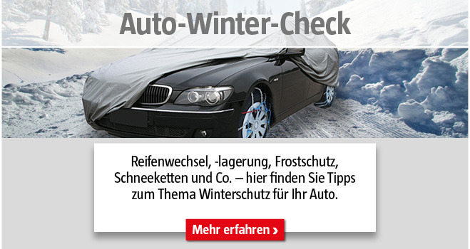 Navigation Auto Winter-Check