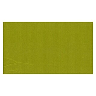 Sunfun Ersatztuch (Grün, Breite: 5 m, Ausfall: 3 m, Passend für: Sunfun Vollkassettenmarkise Grün 5 x 3 m)