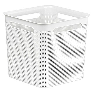 Rotho Aufbewahrungsbox Brisen (L x B x H: 29,1 x 29,1 x 28,1 cm, Polypropylen, Weiß)
