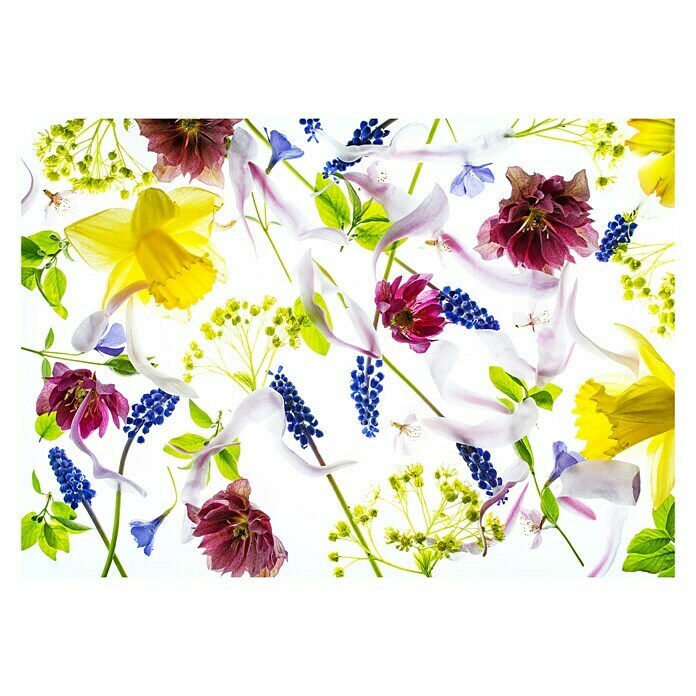 Fototapete Blumen V (368 x 254 cm, Papier)